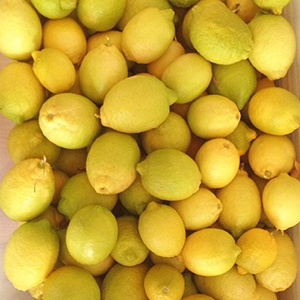 Frivolous Friday vol. 97